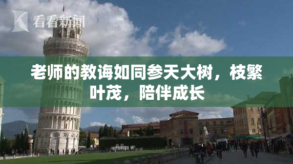 老师的教诲如同参天大树，枝繁叶茂，陪伴成长