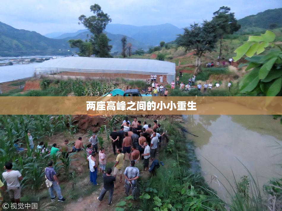 两座高峰之间的小小重生