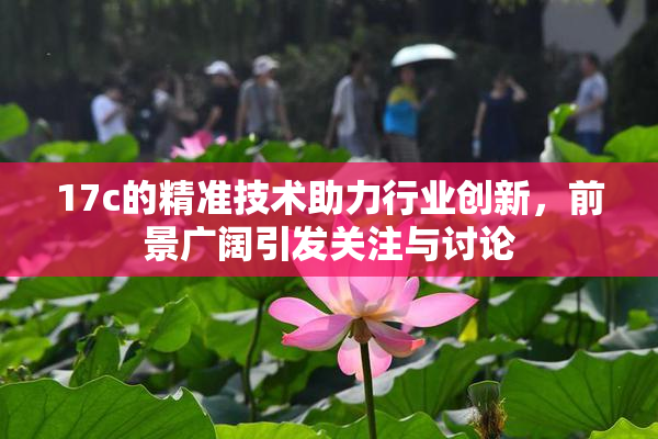 17c的精准技术助力行业创新，前景广阔引发关注与讨论