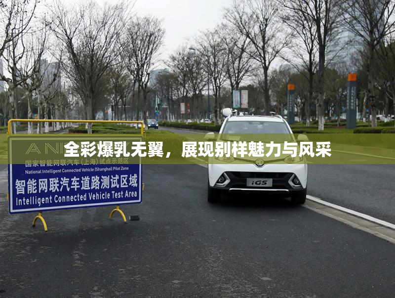 全彩爆乳无翼，展现别样魅力与风采