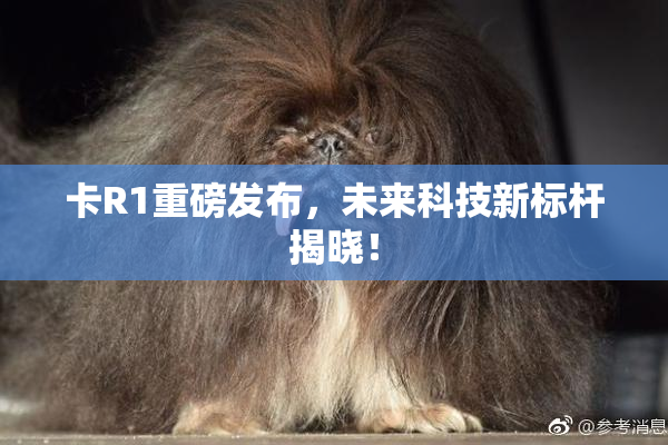 卡R1重磅发布，未来科技新标杆揭晓！