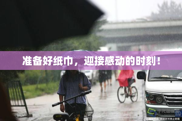 准备好纸巾，迎接感动的时刻！
