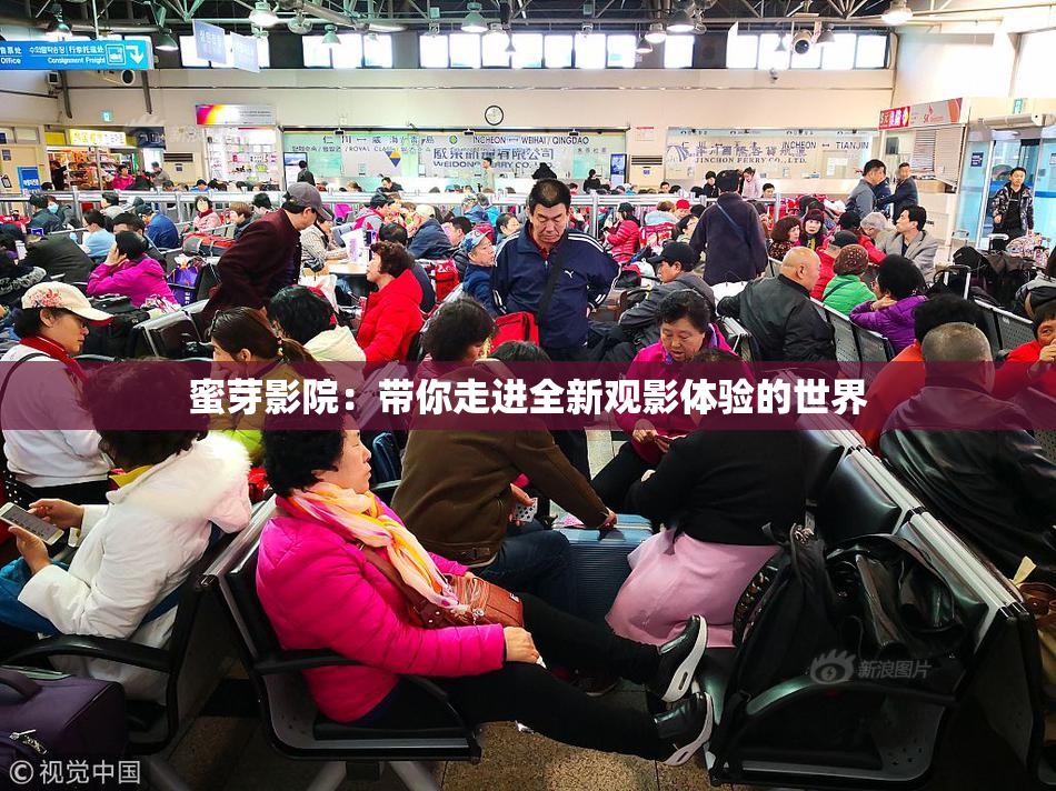 蜜芽影院：带你走进全新观影体验的世界