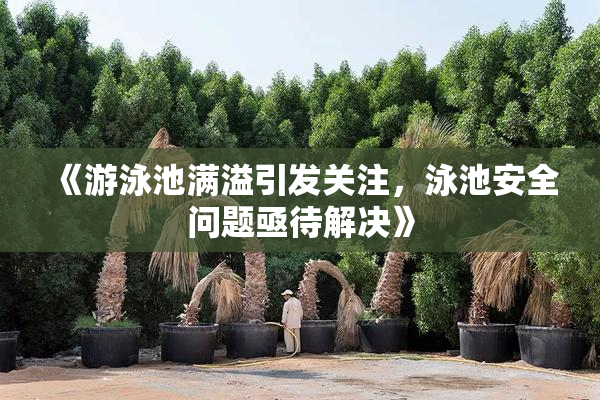 《游泳池满溢引发关注，泳池安全问题亟待解决》