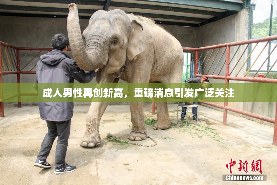 成人男性再创新高，重磅消息引发广泛关注