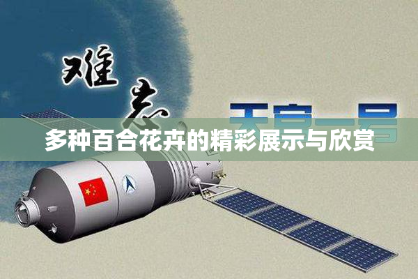 多种百合花卉的精彩展示与欣赏