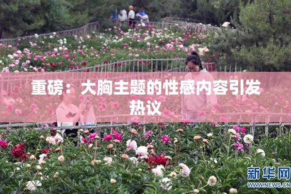重磅：大胸主题的性感内容引发热议