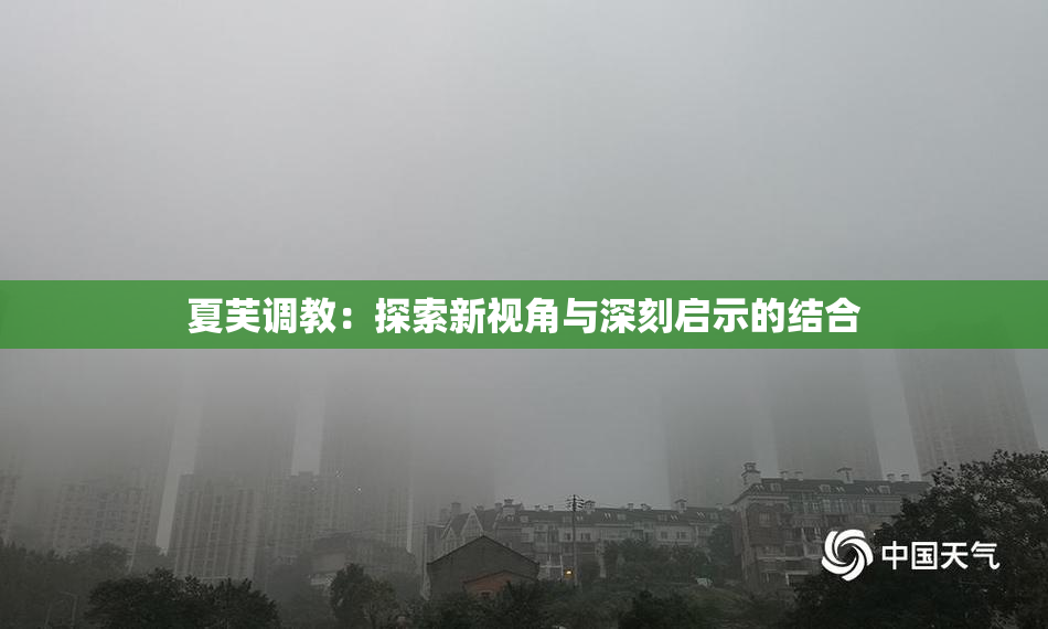 夏芙调教：探索新视角与深刻启示的结合