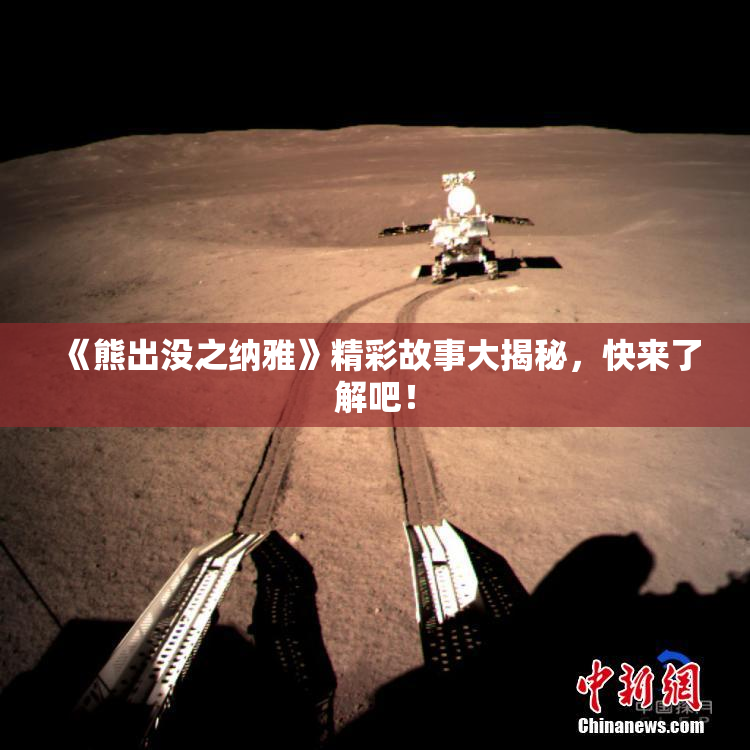 《熊出没之纳雅》精彩故事大揭秘，快来了解吧！