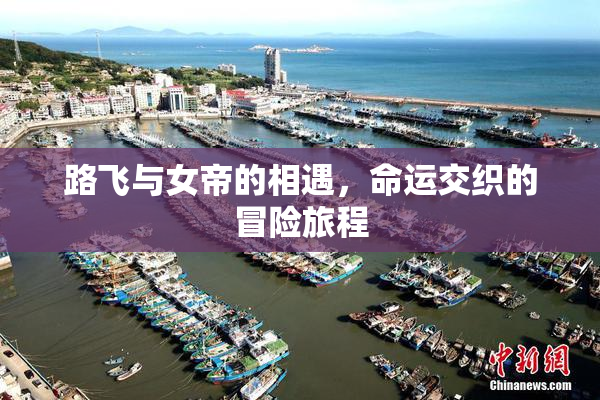 路飞与女帝的相遇，命运交织的冒险旅程