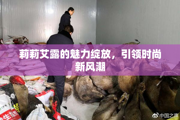 莉莉艾露的魅力绽放，引领时尚新风潮