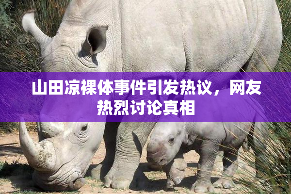 山田凉裸体事件引发热议，网友热烈讨论真相
