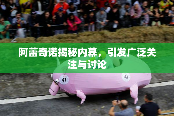 阿蕾奇诺揭秘内幕，引发广泛关注与讨论