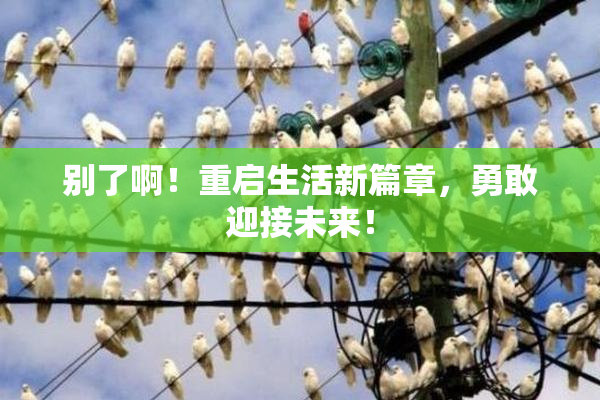 别了啊！重启生活新篇章，勇敢迎接未来！