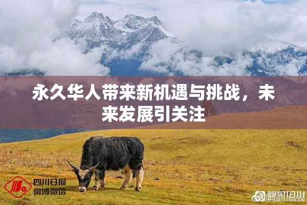 永久华人带来新机遇与挑战，未来发展引关注