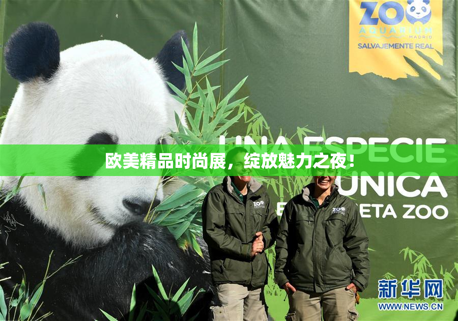 欧美精品时尚展，绽放魅力之夜！