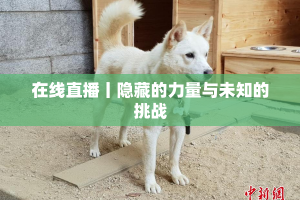 在线直播丨隐藏的力量与未知的挑战