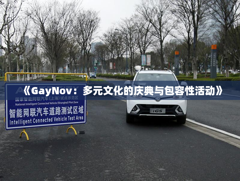 《GayNov：多元文化的庆典与包容性活动》