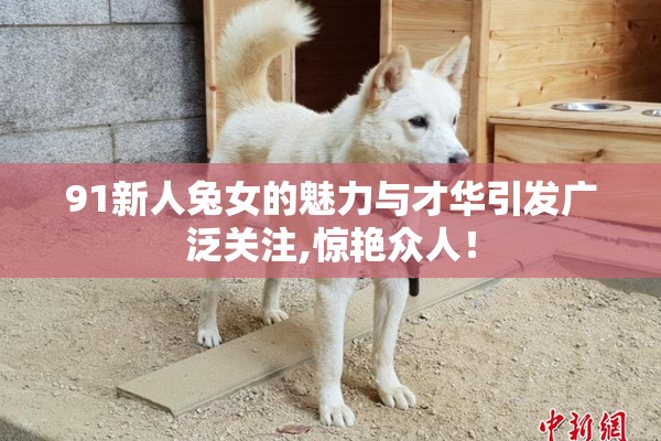 91新人兔女的魅力与才华引发广泛关注,惊艳众人！