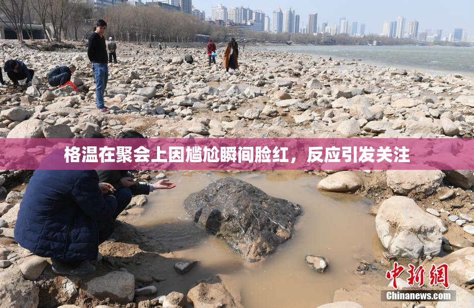 格温在聚会上因尴尬瞬间脸红，反应引发关注