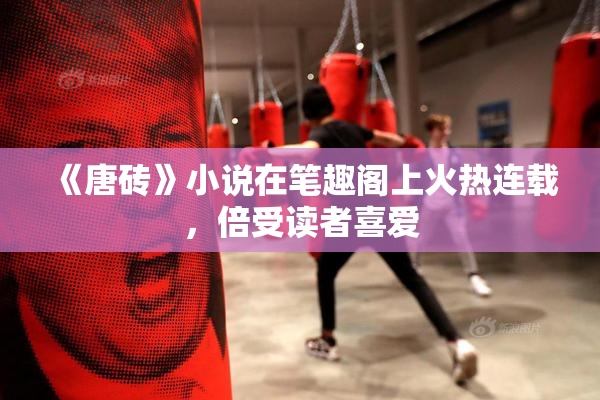 《唐砖》小说在笔趣阁上火热连载，倍受读者喜爱