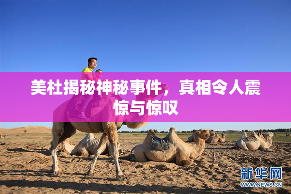 美杜揭秘神秘事件，真相令人震惊与惊叹
