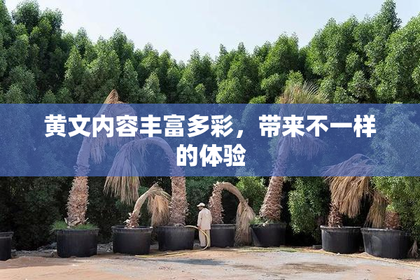 黄文内容丰富多彩，带来不一样的体验