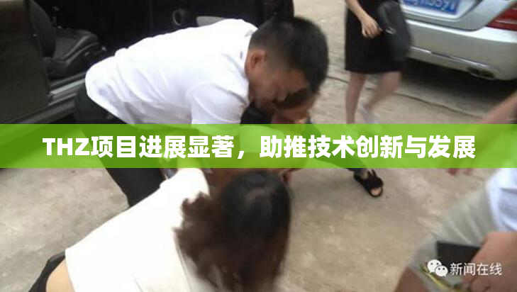 THZ项目进展显著，助推技术创新与发展