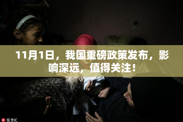 11月1日，我国重磅政策发布，影响深远，值得关注！