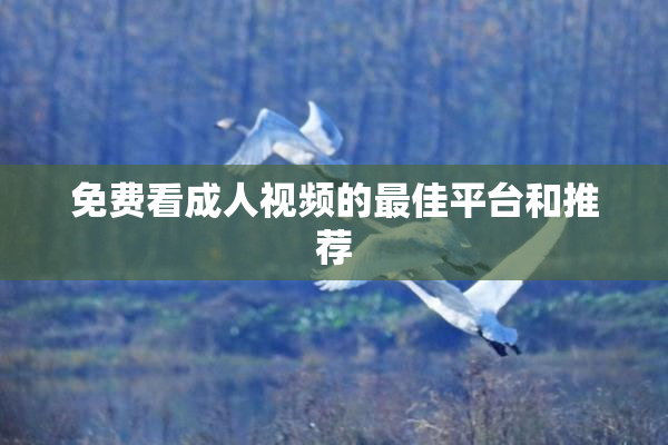 免费看成人视频的最佳平台和推荐