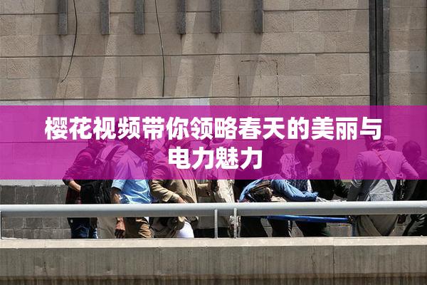 樱花视频带你领略春天的美丽与电力魅力