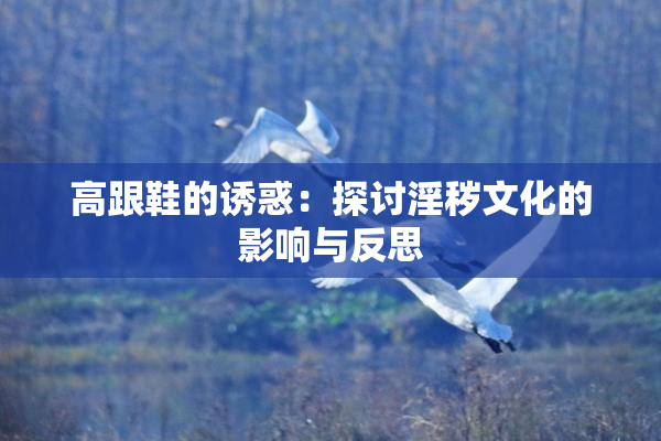 高跟鞋的诱惑：探讨淫秽文化的影响与反思