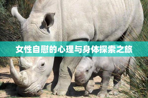女性自慰的心理与身体探索之旅