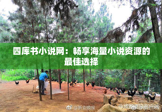 四库书小说网：畅享海量小说资源的最佳选择