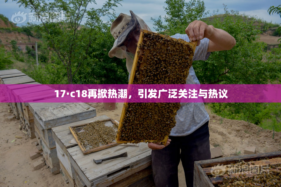 17·c18再掀热潮，引发广泛关注与热议