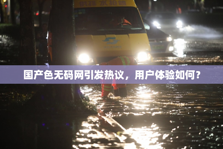 国产色无码网引发热议，用户体验如何？