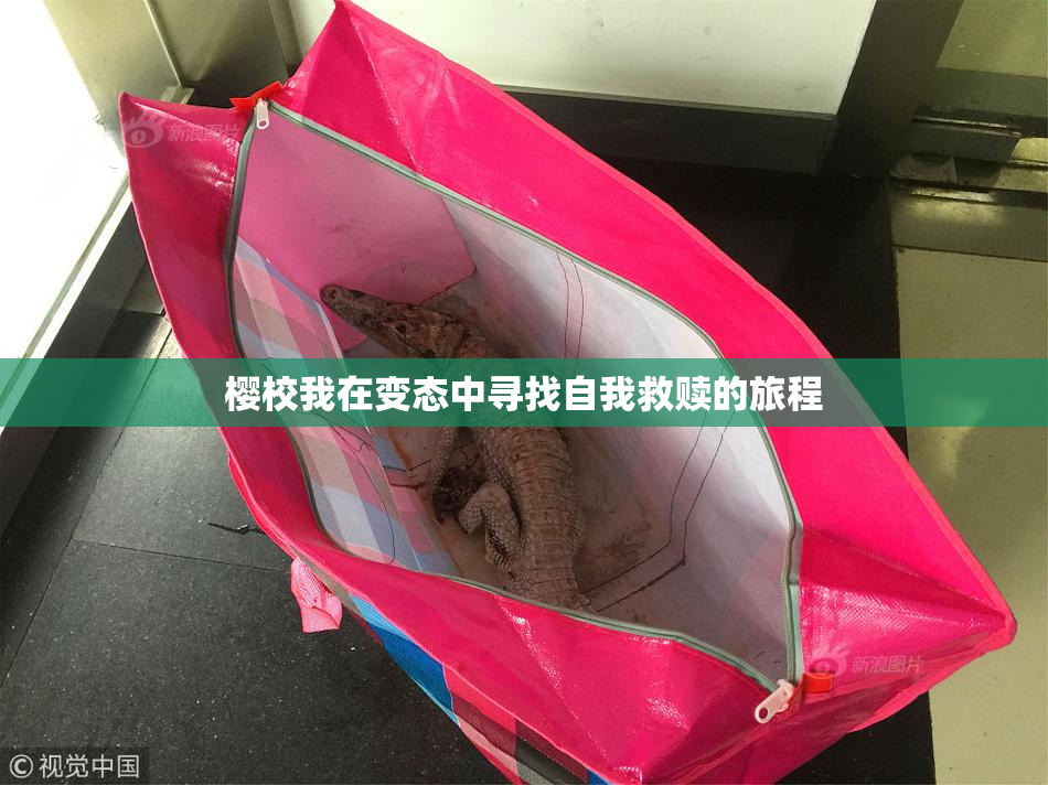 樱校我在变态中寻找自我救赎的旅程