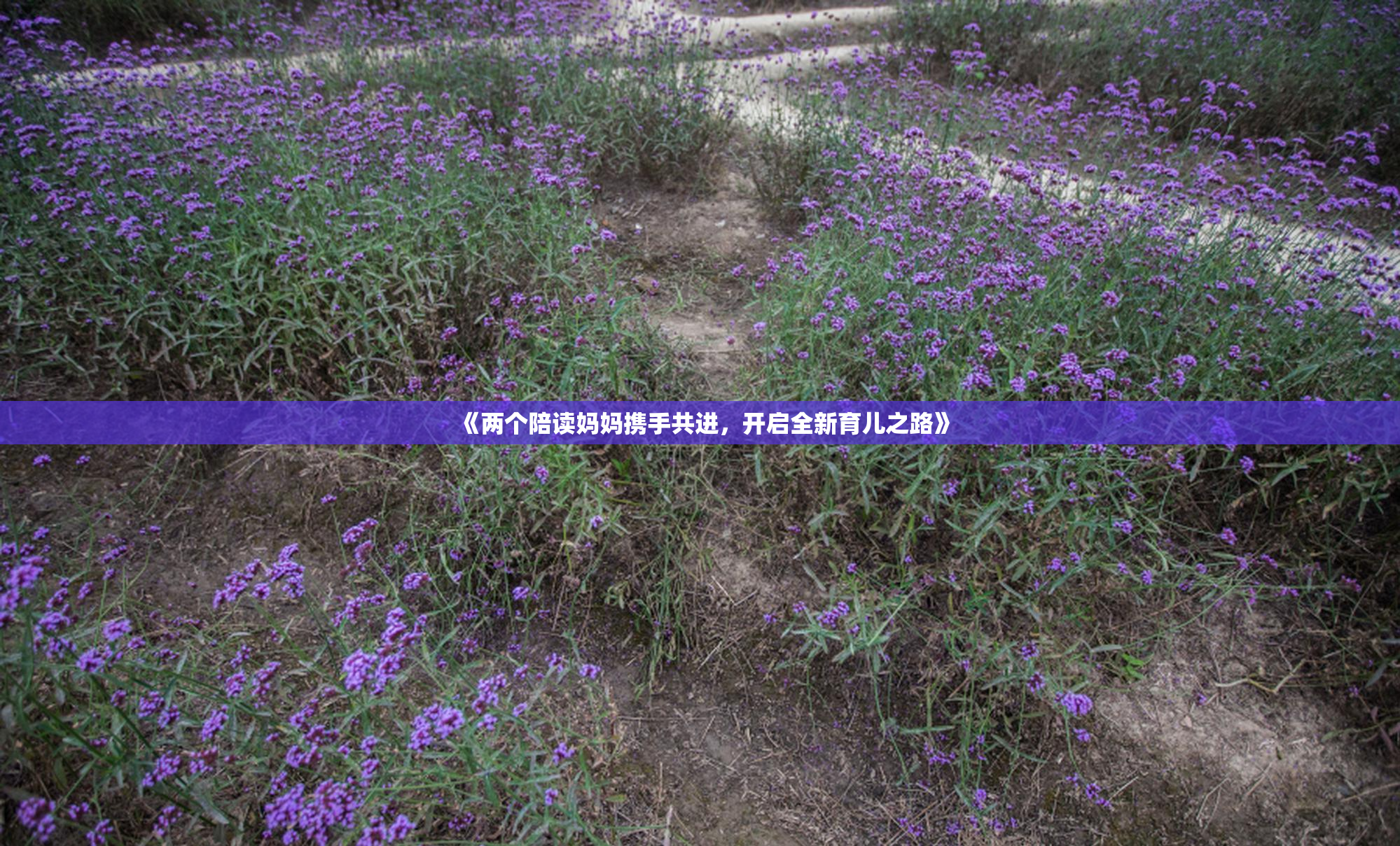 《两个陪读妈妈携手共进，开启全新育儿之路》