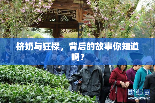挤奶与狂揉，背后的故事你知道吗？
