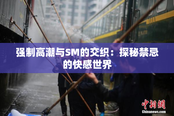 强制高潮与SM的交织：探秘禁忌的快感世界