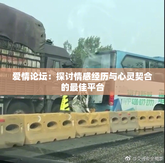 爱情论坛：探讨情感经历与心灵契合的最佳平台