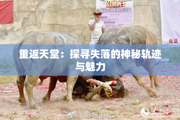 重返天堂：探寻失落的神秘轨迹与魅力