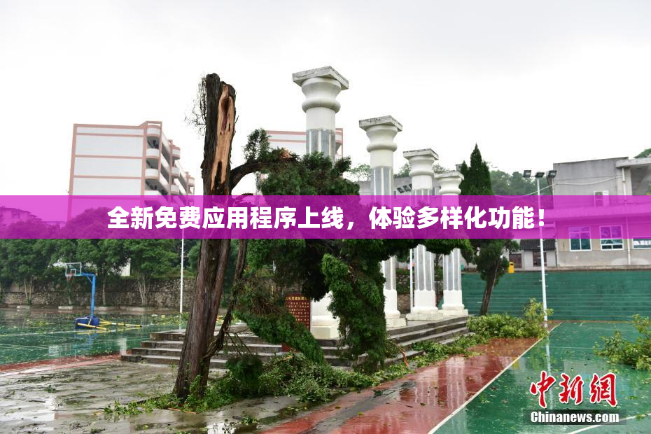 全新免费应用程序上线，体验多样化功能！