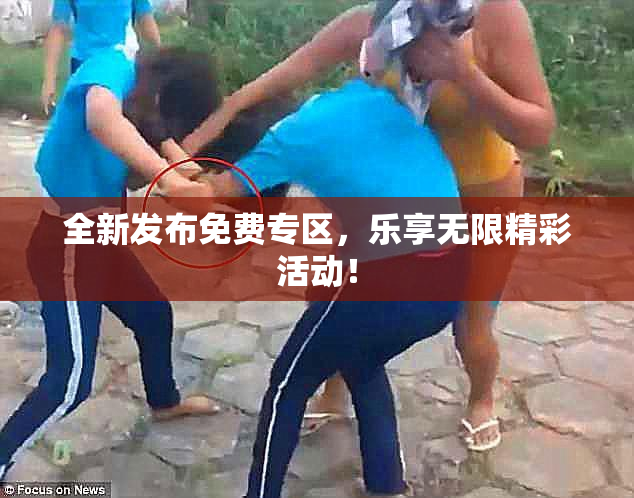 全新发布免费专区，乐享无限精彩活动！
