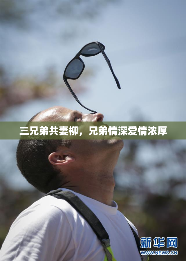 三兄弟共妻柳，兄弟情深爱情浓厚