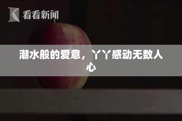 潮水般的爱意，丫丫感动无数人心
