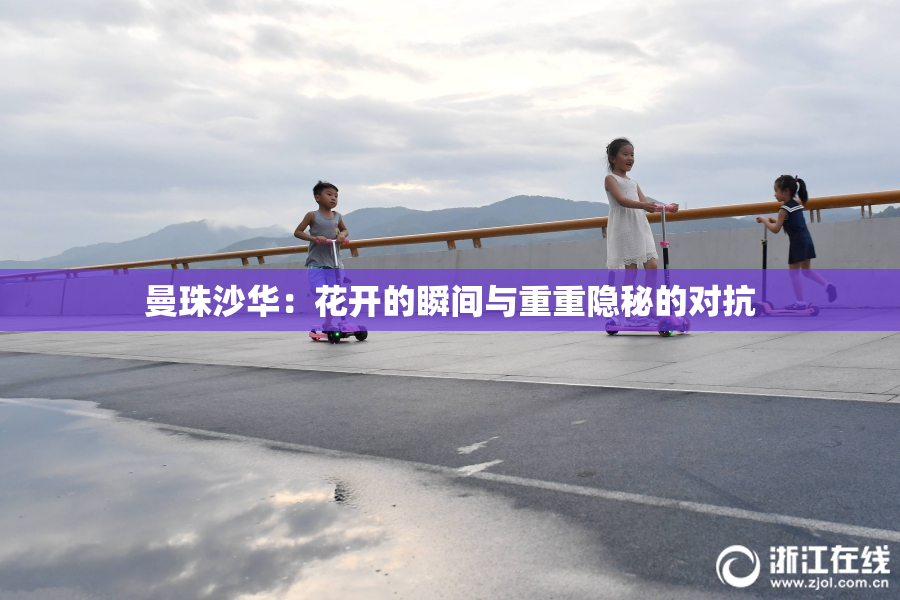 曼珠沙华：花开的瞬间与重重隐秘的对抗