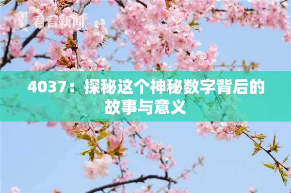4037：探秘这个神秘数字背后的故事与意义