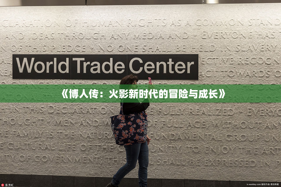 《博人传：火影新时代的冒险与成长》