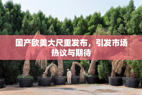 国产欧美大尺重发布，引发市场热议与期待